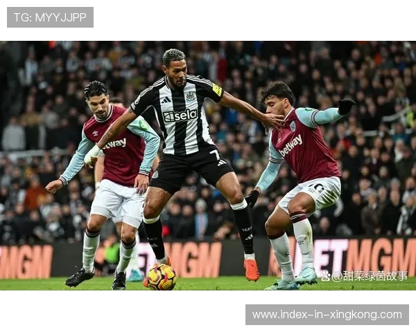 布伦特福德与纽卡斯尔联本赛季表现对比及关键数据分析 布伦特福德与纽卡斯尔联本赛季表现对比及关键数据分析