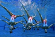 2026年篮球联赛季中最佳防守球员候选榜单公布，2019-2020赛季最佳防守球员